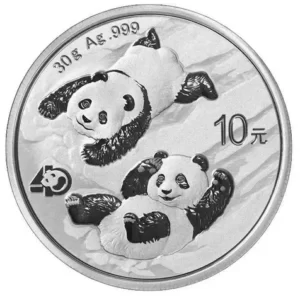 Chińska Panda 30 g Srebra 2022