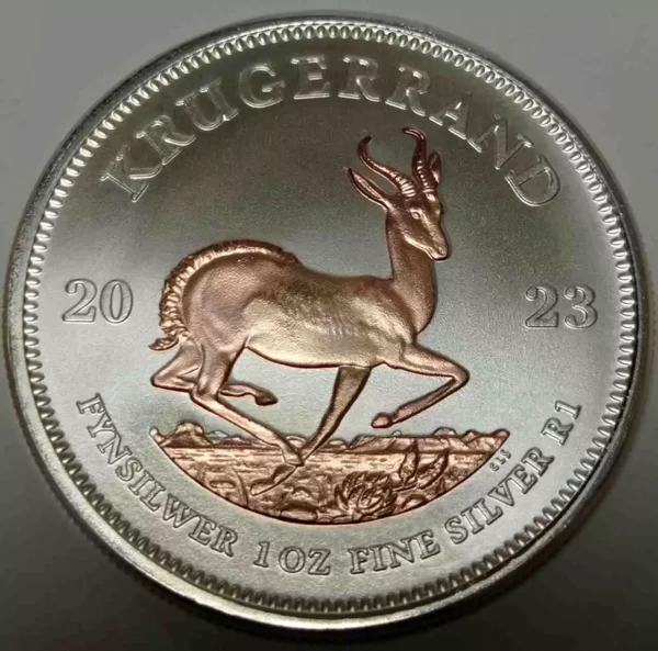 Krugerrand 1 uncja Srebra 2024 Złocenie wybiórcze Rose